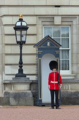 The Kings Guard